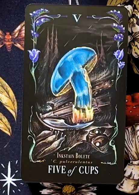 Midnight Magic: A Tarot Deck of Mushrooms